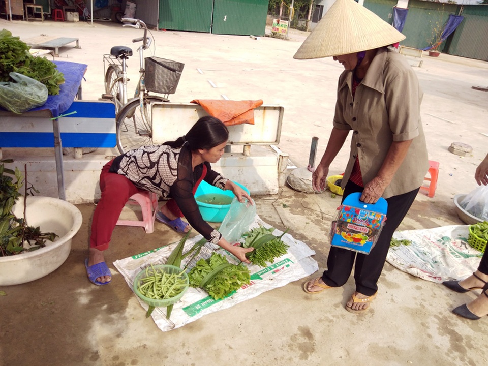 Rau xanh đắt khách, “nhích” giá đầu Xuân mới - 2 Rau xanh đắt khách, “nhích” giá đầu Xuân mới - 2