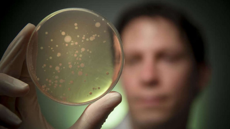 Hơn 100 loài mới được phát hiện trong… ruột con người - 1