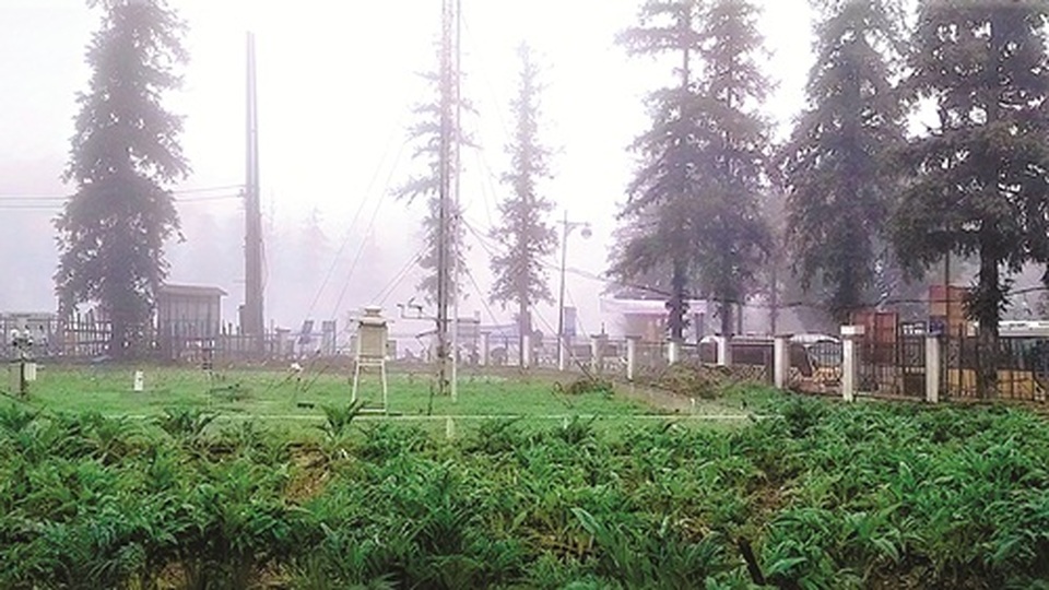 Tết của những người  “bắt bệnh trời” - 1..jpg