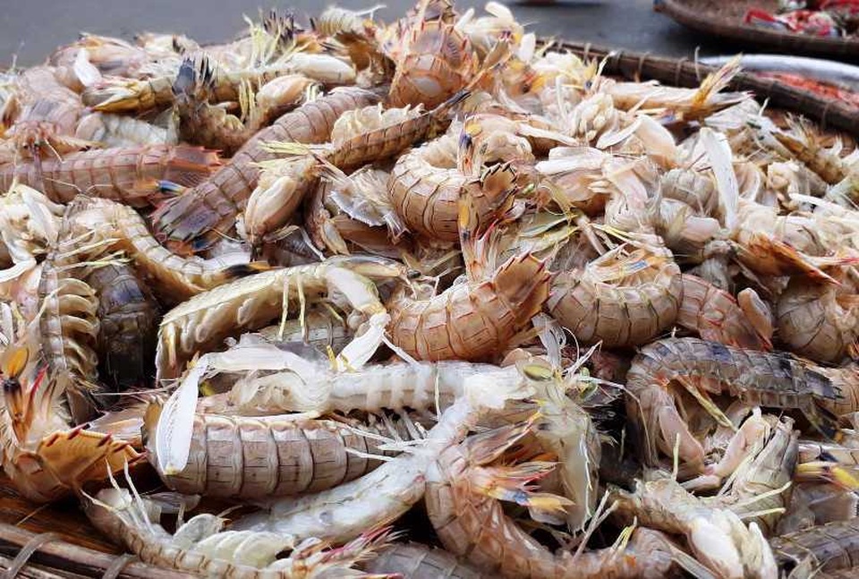 Thanh Hoá: Ngư dân đón “lộc biển” đầu năm - 4 Thanh Hoá: Ngư dân đón “lộc biển” đầu năm - 4