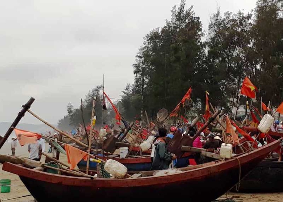 Thanh Hoá: Ngư dân đón “lộc biển” đầu năm - 1 Thanh Hoá: Ngư dân đón “lộc biển” đầu năm - 1