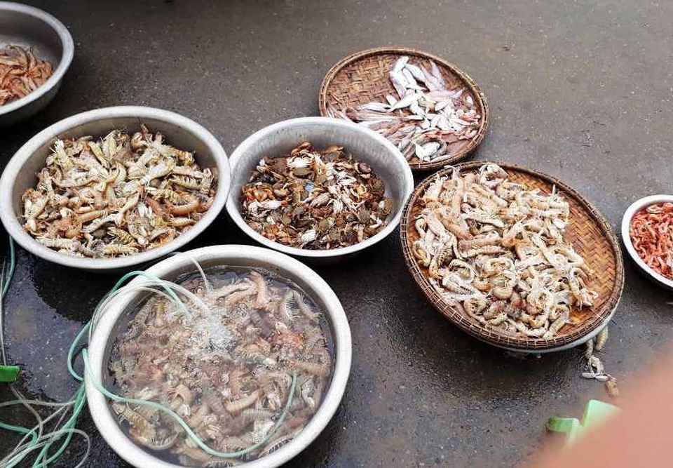 Thanh Hoá: Ngư dân đón “lộc biển” đầu năm - 5 Thanh Hoá: Ngư dân đón “lộc biển” đầu năm - 5