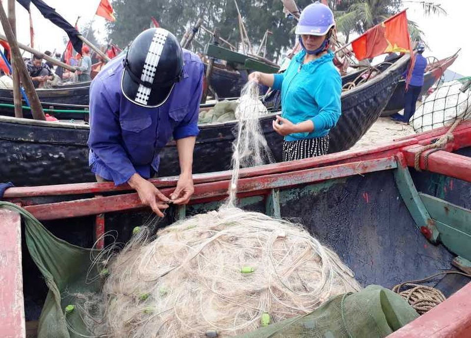 Thanh Hoá: Ngư dân đón “lộc biển” đầu năm - 2 Thanh Hoá: Ngư dân đón “lộc biển” đầu năm - 2