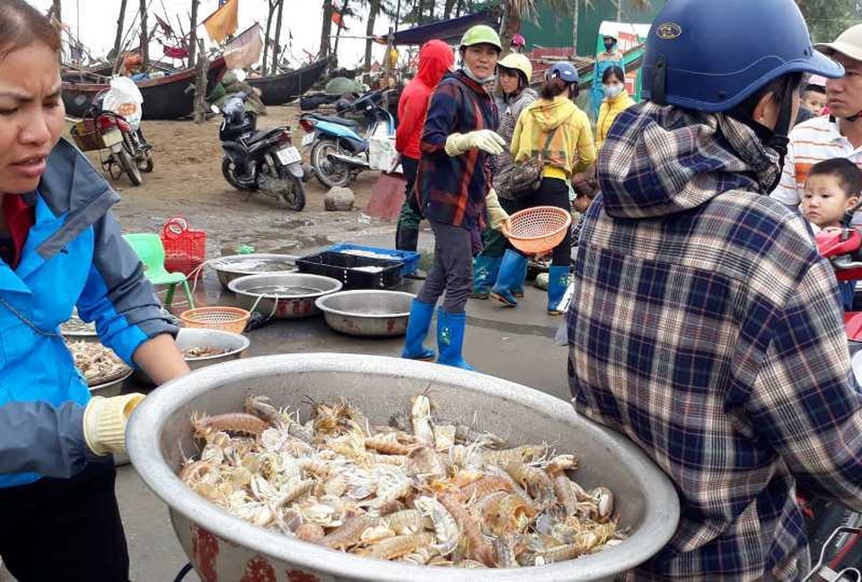 Thanh Hoá: Ngư dân đón “lộc biển” đầu năm - 9 Thanh Hoá: Ngư dân đón “lộc biển” đầu năm - 9