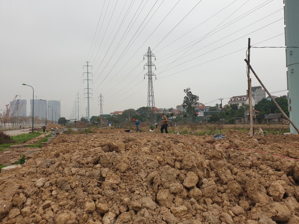 Người trồng đào Phú Thượng tất bật chuẩn bị vụ mới - 3 Người trồng đào Phú Thượng tất bật chuẩn bị vụ mới - 3
