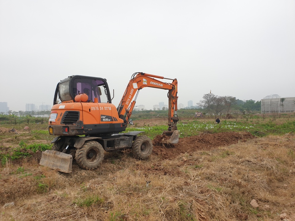 Người trồng đào Phú Thượng tất bật chuẩn bị vụ mới - 4 Người trồng đào Phú Thượng tất bật chuẩn bị vụ mới - 4
