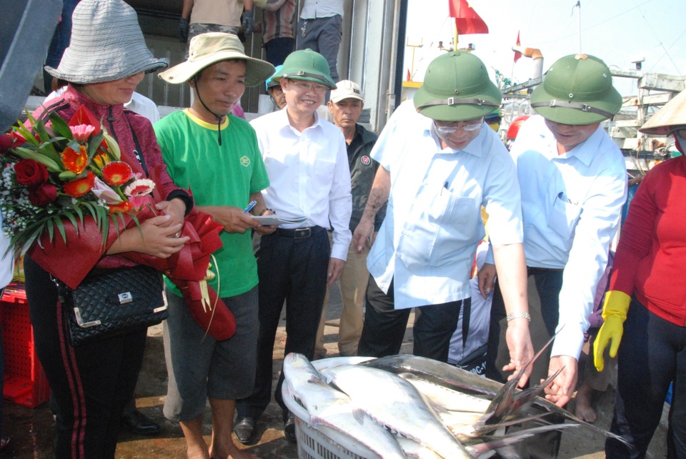 Mẻ cá bè “khủng” hơn 100 tấn của ngư dân Quảng Trị trị giá bao nhiêu? - 3 Mẻ cá bè “khủng” hơn 100 tấn của ngư dân Quảng Trị trị giá bao nhiêu? - 3