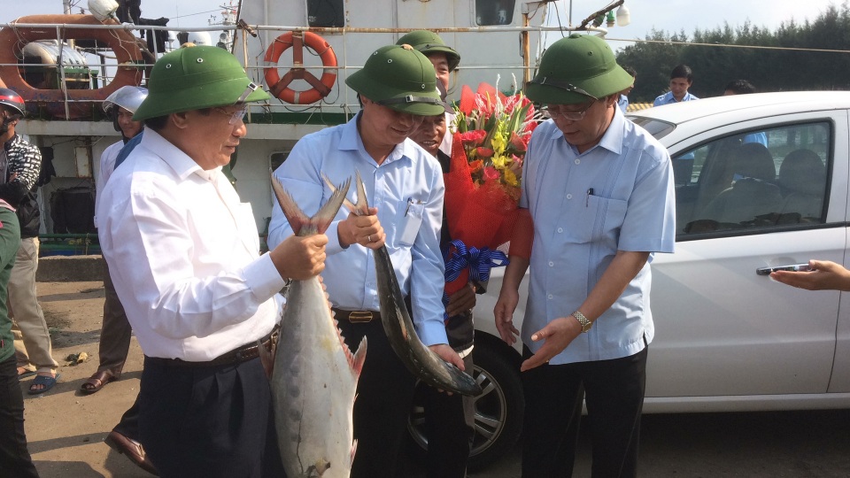 Mẻ cá bè “khủng” hơn 100 tấn của ngư dân Quảng Trị trị giá bao nhiêu? - 1 Mẻ cá bè “khủng” hơn 100 tấn của ngư dân Quảng Trị trị giá bao nhiêu? - 1
