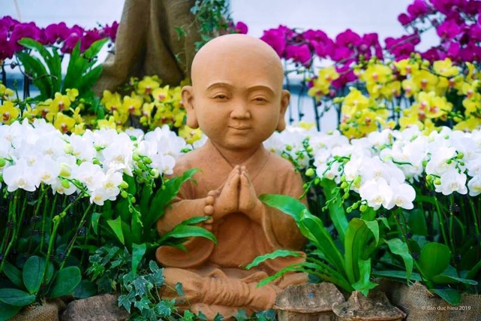 Ninh Bình: Thung lũng hoa 15ha khoe sắc - 3 Ninh Bình: Thung lũng hoa 15ha khoe sắc - 3