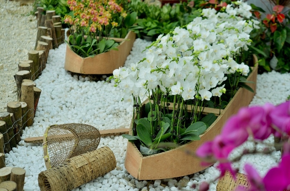 Ninh Bình: Thung lũng hoa 15ha khoe sắc - 11 Ninh Bình: Thung lũng hoa 15ha khoe sắc - 11