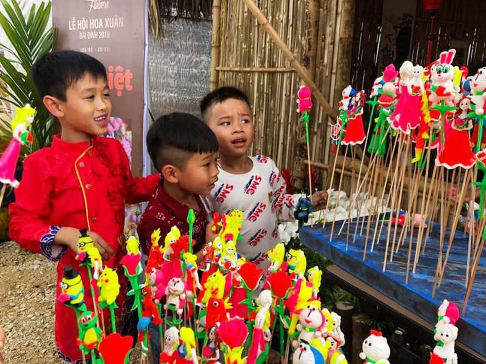 Ninh Bình: Thung lũng hoa 15ha khoe sắc - 12 Ninh Bình: Thung lũng hoa 15ha khoe sắc - 12