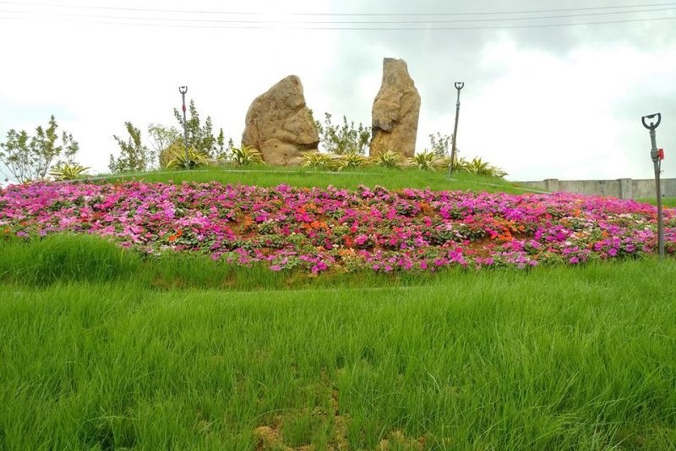 Ninh Bình: Thung lũng hoa 15ha khoe sắc - 7 Ninh Bình: Thung lũng hoa 15ha khoe sắc - 7