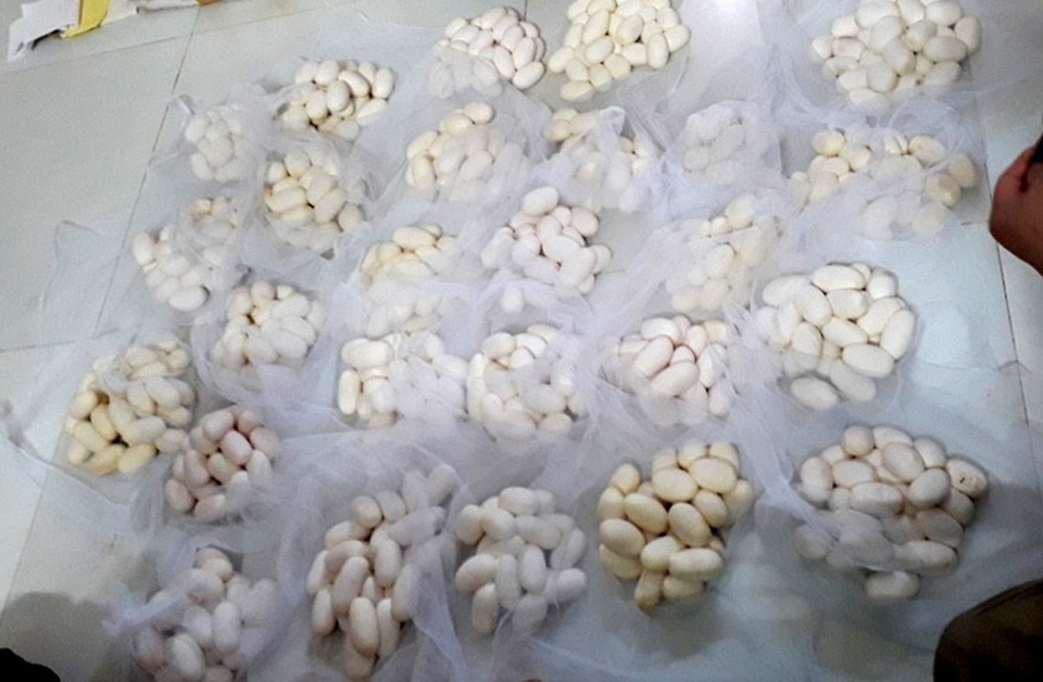 Trúng đậm chưa từng có, dân làng tử thần tranh mua đất tiền tỷ - 1 Trúng đậm chưa từng có, dân làng tử thần tranh mua đất tiền tỷ - 1