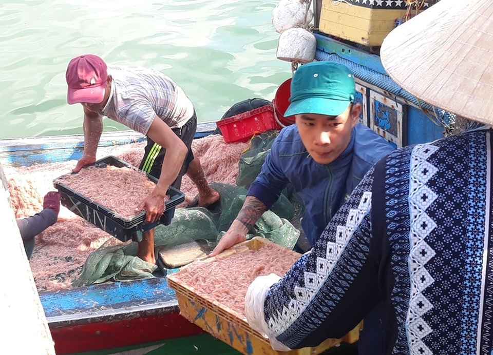Ngư dân Bình Định trúng lớn “lộc biển”, kiếm tiền triệu chỉ vài giờ - 5 Ngư dân Bình Định trúng lớn “lộc biển”, kiếm tiền triệu chỉ vài giờ - 5
