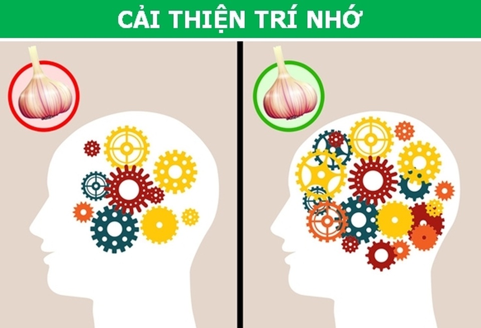 Những điều kỳ diệu nhờ vào thói quen ăn tỏi mỗi ngày - 4 Những điều kỳ diệu nhờ vào thói quen ăn tỏi mỗi ngày - 4