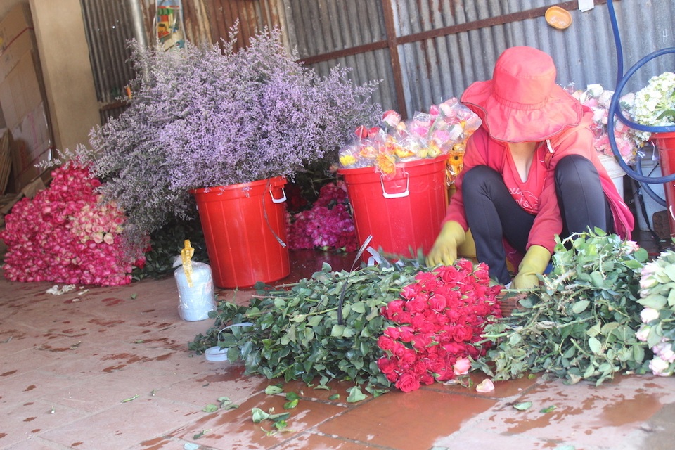 IMG_1305.JPG IMG_1305.JPG