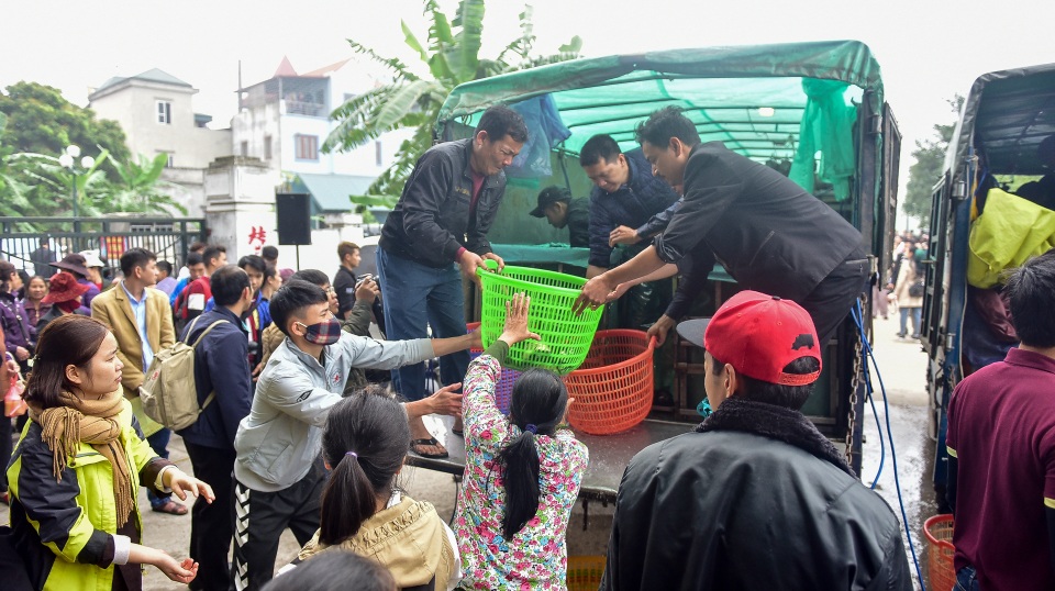 15.000 người chuyền tay phóng sinh hơn 10 tấn cá ở Hà Nội - 4 15.000 người chuyền tay phóng sinh hơn 10 tấn cá ở Hà Nội - 4