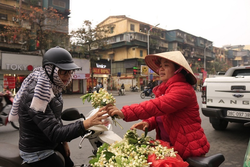 Đào phai, mai tàn, dân Hà thành chơi hoa bày đĩa nửa triệu/kg - 10..jpg Đào phai, mai tàn, dân Hà thành chơi hoa bày đĩa nửa triệu/kg - 10..jpg