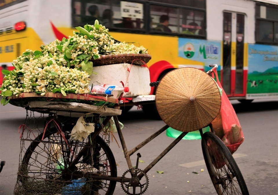 Đào phai, mai tàn, dân Hà thành chơi hoa bày đĩa nửa triệu/kg - 4 Đào phai, mai tàn, dân Hà thành chơi hoa bày đĩa nửa triệu/kg - 4