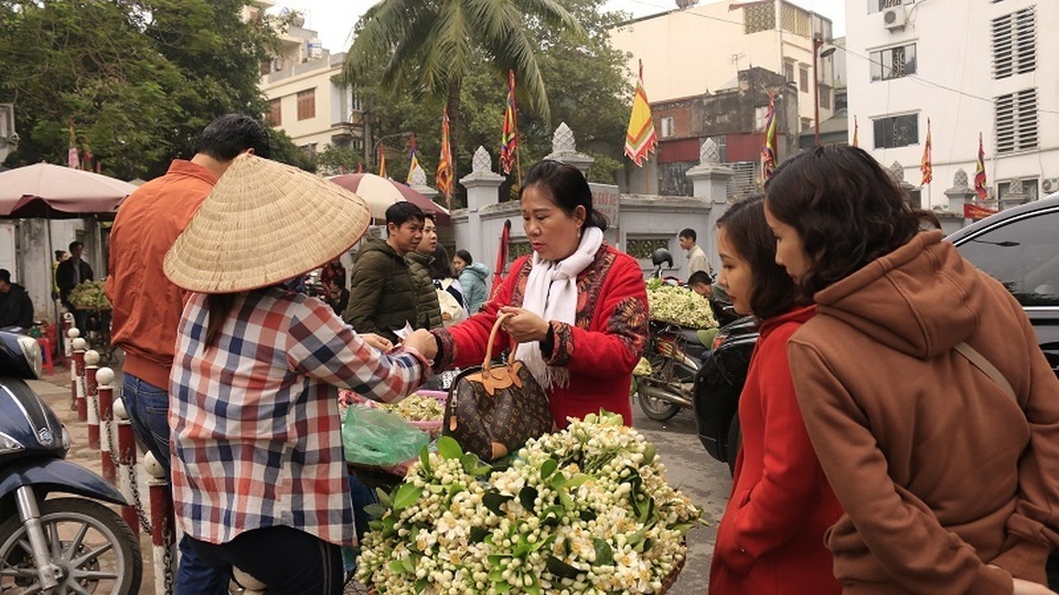 Đào phai, mai tàn, dân Hà thành chơi hoa bày đĩa nửa triệu/kg - 5..jpg Đào phai, mai tàn, dân Hà thành chơi hoa bày đĩa nửa triệu/kg - 5..jpg