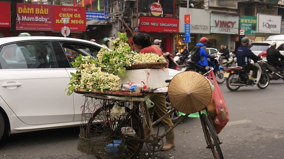 Đào phai, mai tàn, dân Hà thành chơi hoa bày đĩa nửa triệu/kg - 7 Đào phai, mai tàn, dân Hà thành chơi hoa bày đĩa nửa triệu/kg - 7