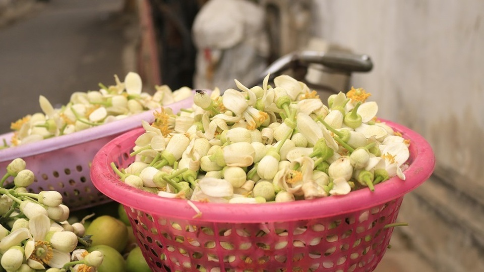 Đào phai, mai tàn, dân Hà thành chơi hoa bày đĩa nửa triệu/kg - 8 Đào phai, mai tàn, dân Hà thành chơi hoa bày đĩa nửa triệu/kg - 8