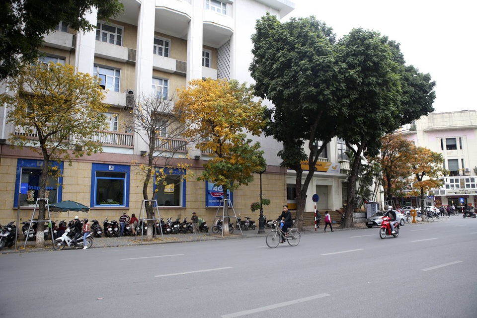 Ngắm Hà Nội đẹp đến nao lòng vào mùa cây thay lá - 5 Ngắm Hà Nội đẹp đến nao lòng vào mùa cây thay lá - 5
