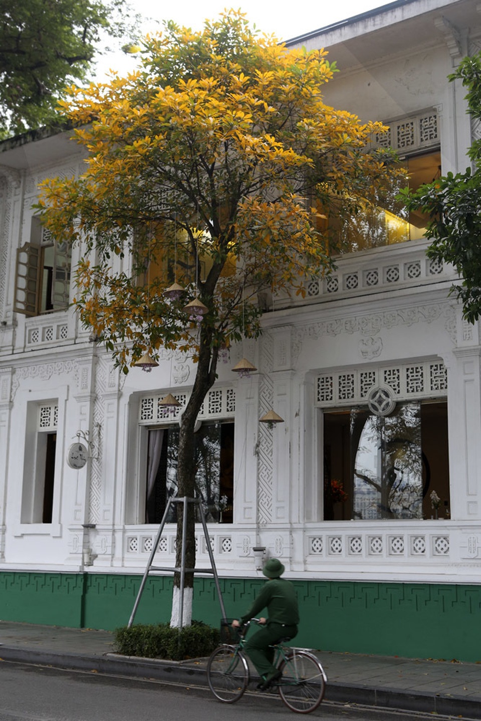 Ngắm Hà Nội đẹp đến nao lòng vào mùa cây thay lá - 7 Ngắm Hà Nội đẹp đến nao lòng vào mùa cây thay lá - 7