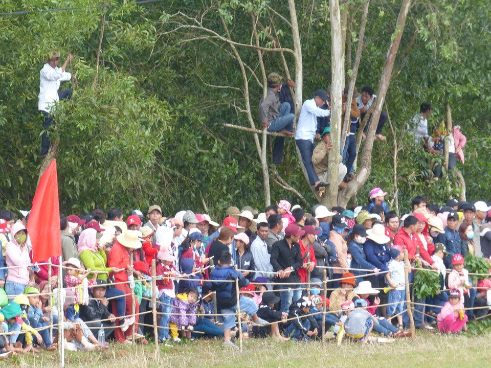 Du khách thích thú khi đến xem Hội đua ngựa Gò Thì Thùng - 7 Du khách thích thú khi đến xem Hội đua ngựa Gò Thì Thùng - 7