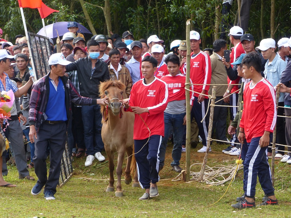Du khách thích thú khi đến xem Hội đua ngựa Gò Thì Thùng - 1 Du khách thích thú khi đến xem Hội đua ngựa Gò Thì Thùng - 1