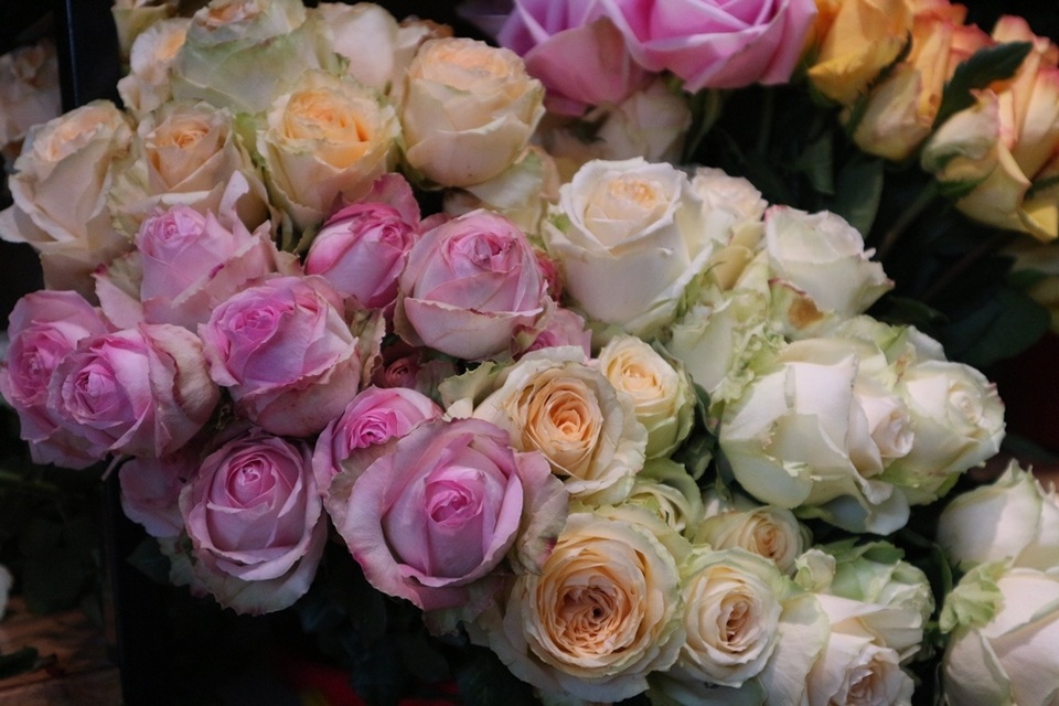 Đa dạng thị trường quà tặng Valentine nhưng sức mua khá yếu - 10 Đa dạng thị trường quà tặng Valentine nhưng sức mua khá yếu - 10