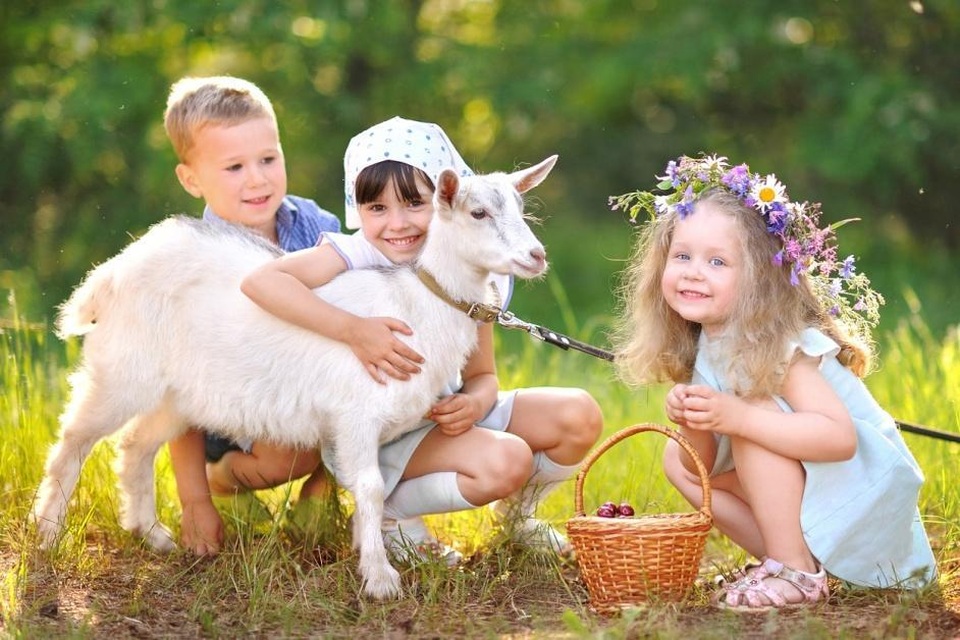 Hé lộ 5 công dụng của sữa dê mà không phải mẹ bỉm sữa nào cũng biết - 1 Hé lộ 5 công dụng của sữa dê mà không phải mẹ bỉm sữa nào cũng biết - 1