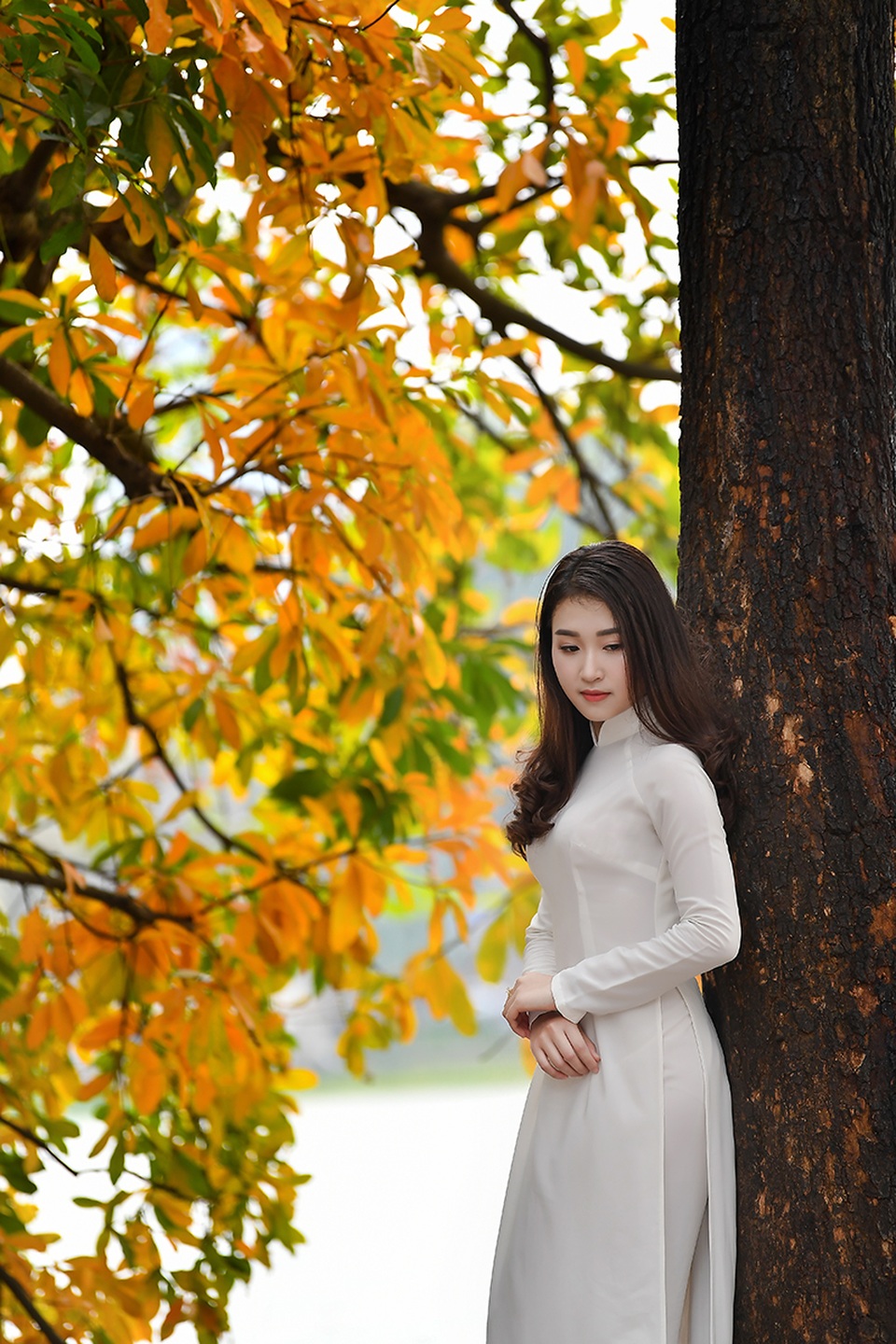 Thiếu nữ 9x tận hưởng vẻ lãng mạn mùa lộc vừng Hồ Gươm đổ lá vàng - 1 Thiếu nữ 9x tận hưởng vẻ lãng mạn mùa lộc vừng Hồ Gươm đổ lá vàng - 1