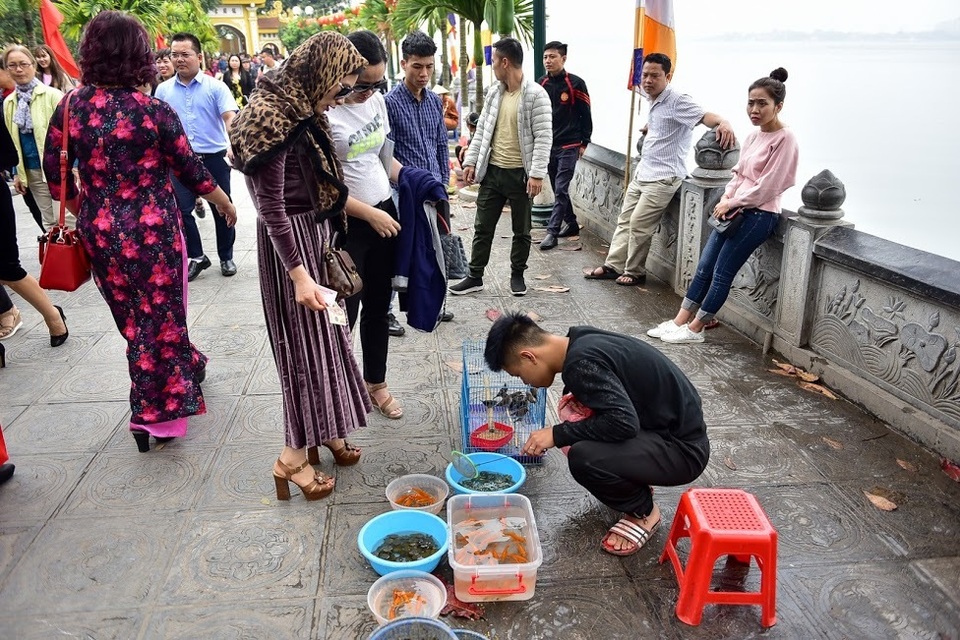 Cảnh mua bán tấp nập “rùa độc” làm lễ phóng sinh ngay trước cửa chùa - 1 Cảnh mua bán tấp nập “rùa độc” làm lễ phóng sinh ngay trước cửa chùa - 1