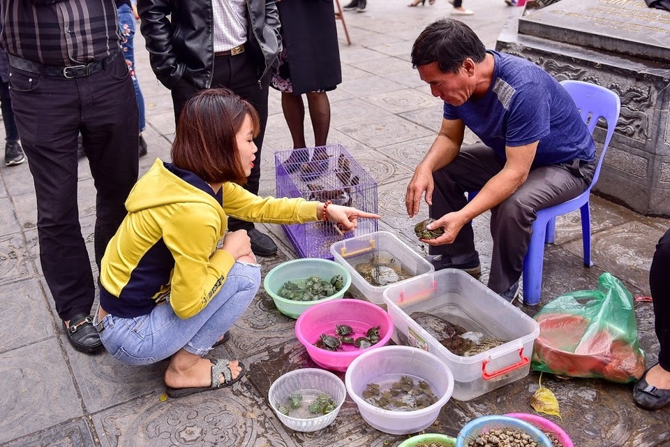 Cảnh mua bán tấp nập “rùa độc” làm lễ phóng sinh ngay trước cửa chùa - 2 Cảnh mua bán tấp nập “rùa độc” làm lễ phóng sinh ngay trước cửa chùa - 2