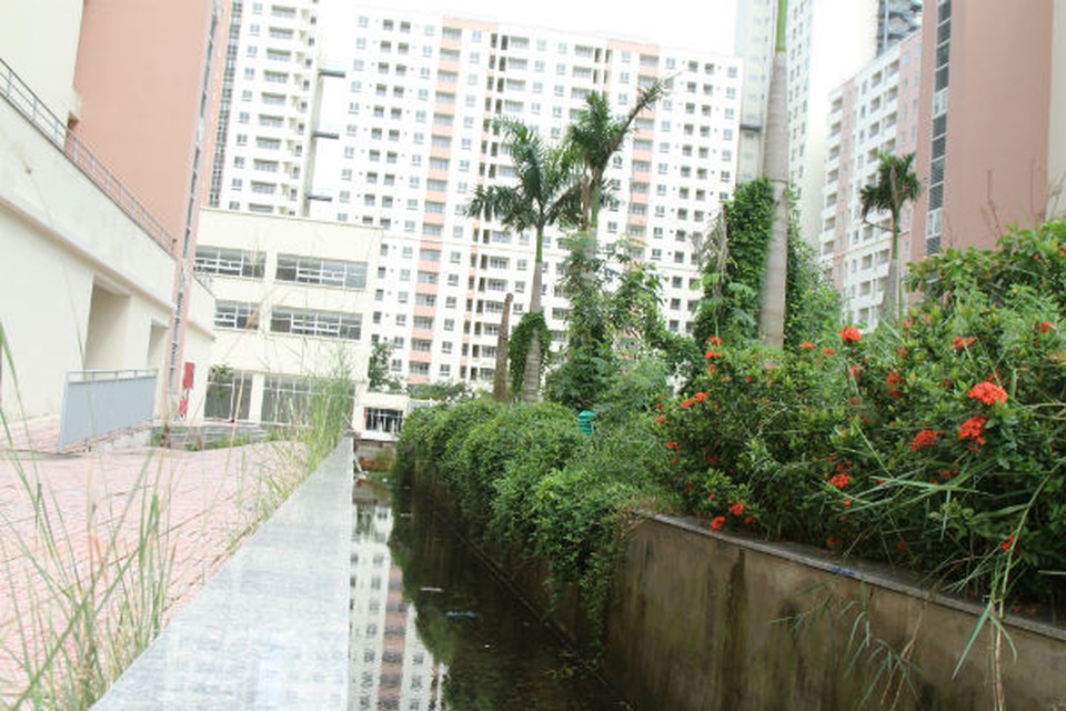 tai_dinh_cu5.jpg tai_dinh_cu5.jpg