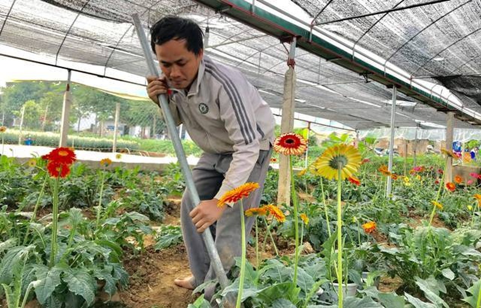 Vườn hoa tiền tỷ của chàng công nhân gác tàu xứ Thanh - 1 Vườn hoa tiền tỷ của chàng công nhân gác tàu xứ Thanh - 1