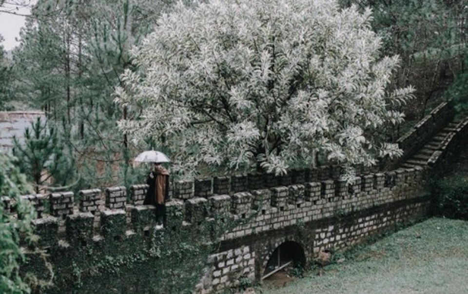 doi mong mo4.jpg doi mong mo4.jpg