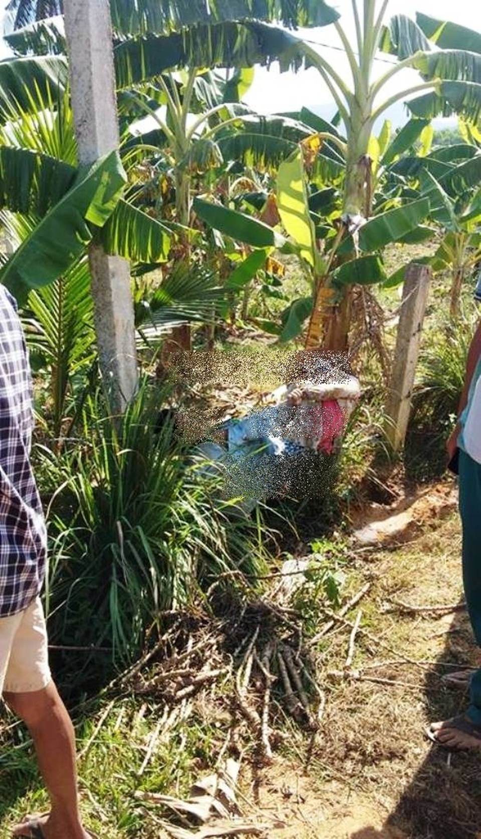 Vướng vào hàng rào thép gai nhiễm điện, vợ chồng tử vong - 1 Vướng vào hàng rào thép gai nhiễm điện, vợ chồng tử vong - 1