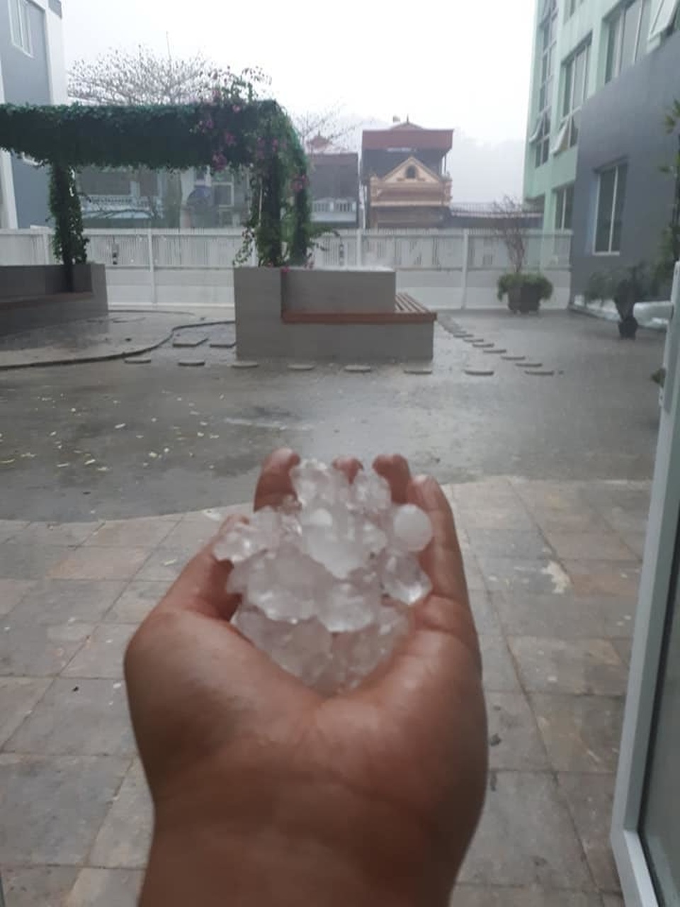 Mưa đá rơi trắng đất Sa Pa - 3 Mưa đá rơi trắng đất Sa Pa - 3