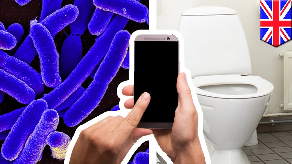 Your-phone-is-seven-times-dirtier-than-a-toilet-seat-TomoNews.jpeg Your-phone-is-seven-times-dirtier-than-a-toilet-seat-TomoNews.jpeg