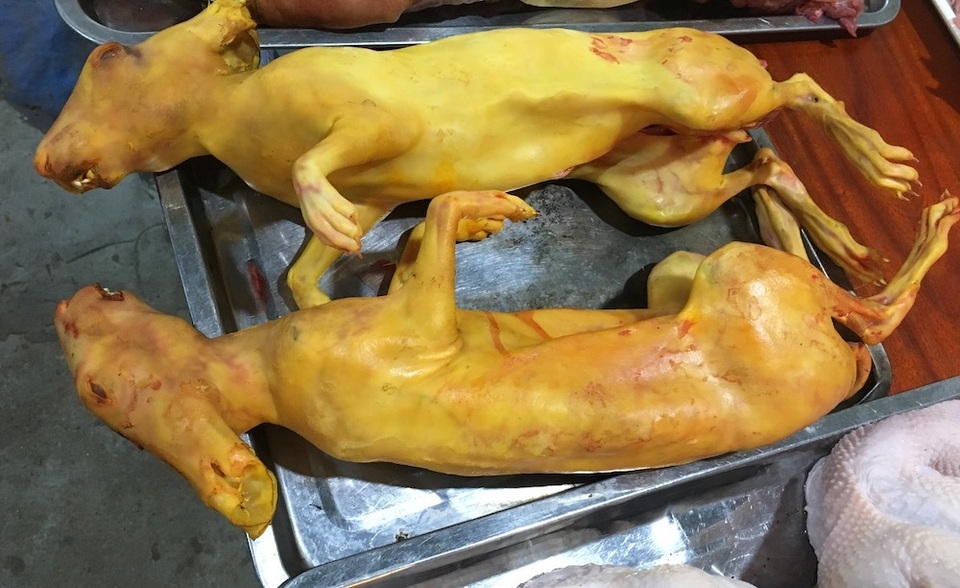 Phù phép thịt mèo thành cầy hương để lừa bán ở lễ hội Chùa Hương - 7 Phù phép thịt mèo thành cầy hương để lừa bán ở lễ hội Chùa Hương - 7