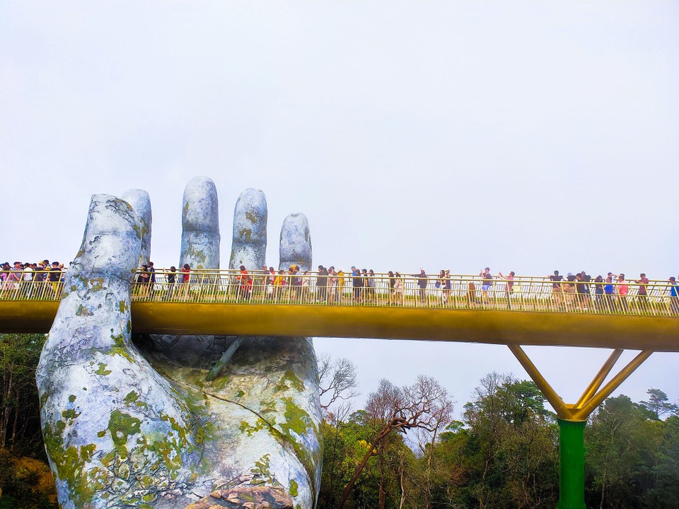 IMG20190211131210.jpg cầu vàng