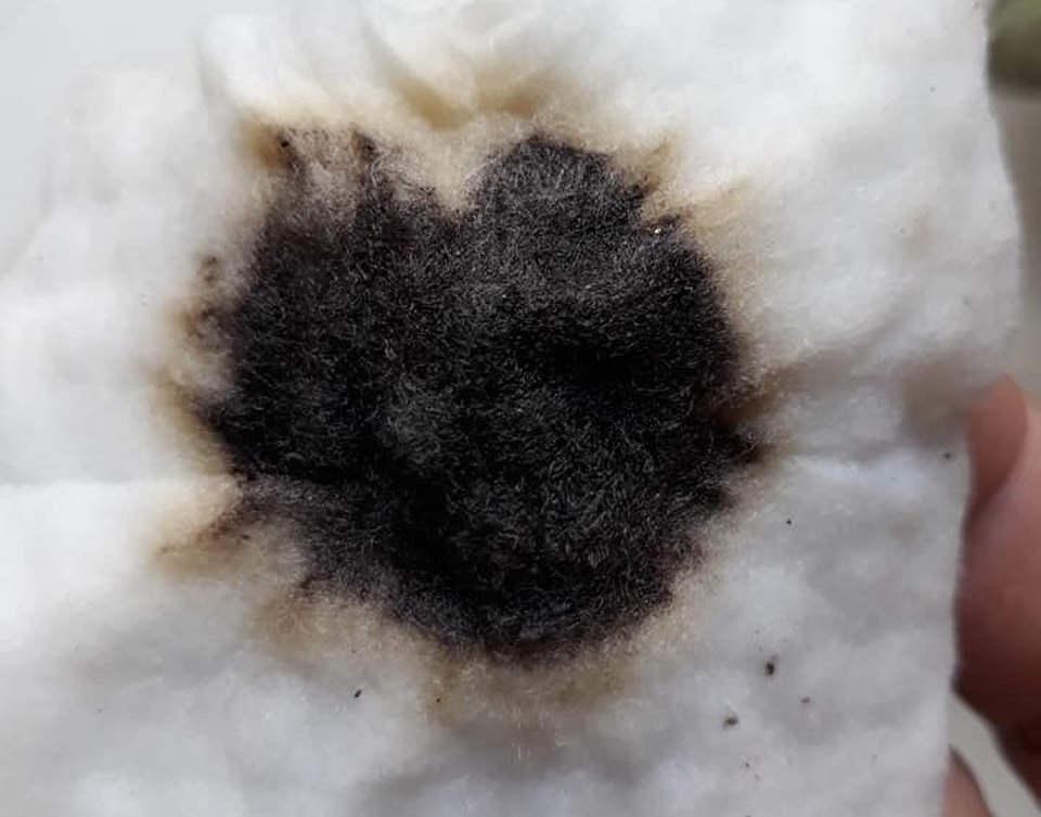 Đà Nẵng: Dân kêu trời vì nước sạch vàng đục, lắng cặn đen sì - 2 Đà Nẵng: Dân kêu trời vì nước sạch vàng đục, lắng cặn đen sì - 2