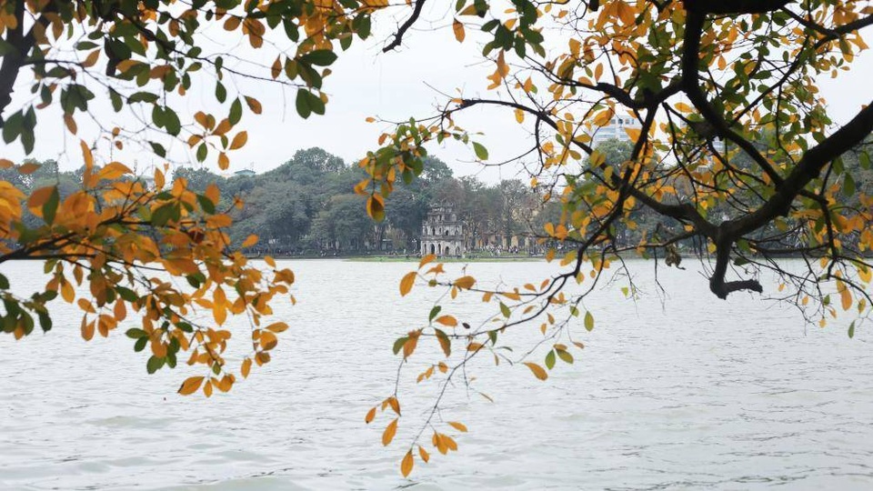 Nao lòng với Hà Nội mùa cây thay lá - 1