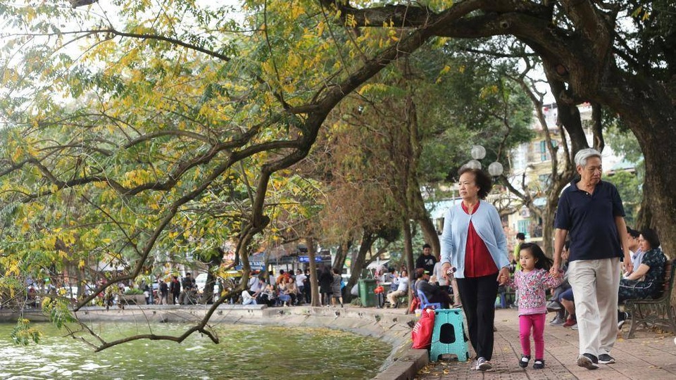 Nao lòng với Hà Nội mùa cây thay lá - 4