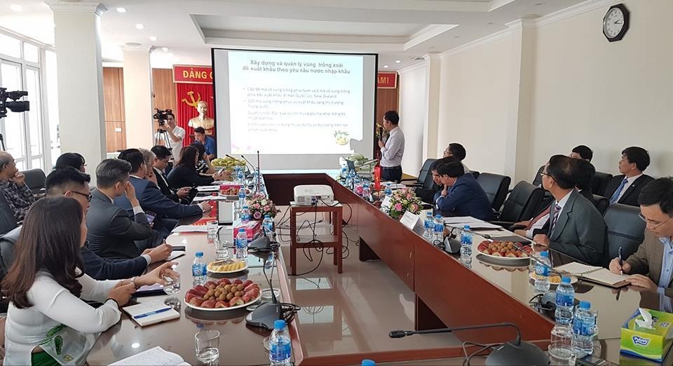 quang canh hoi nghi.jpg quang canh hoi nghi.jpg