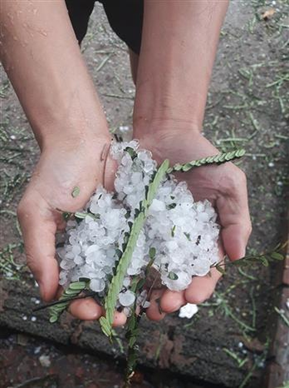 mưa đá ở Mường Nhé