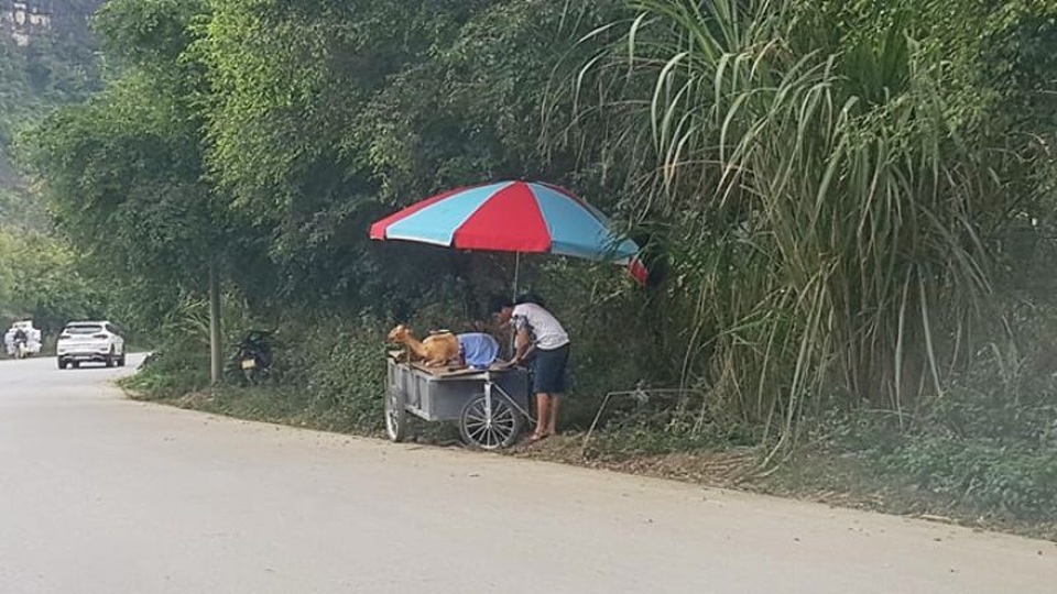 bán thịt dê 7.jpg bán thịt dê 7.jpg