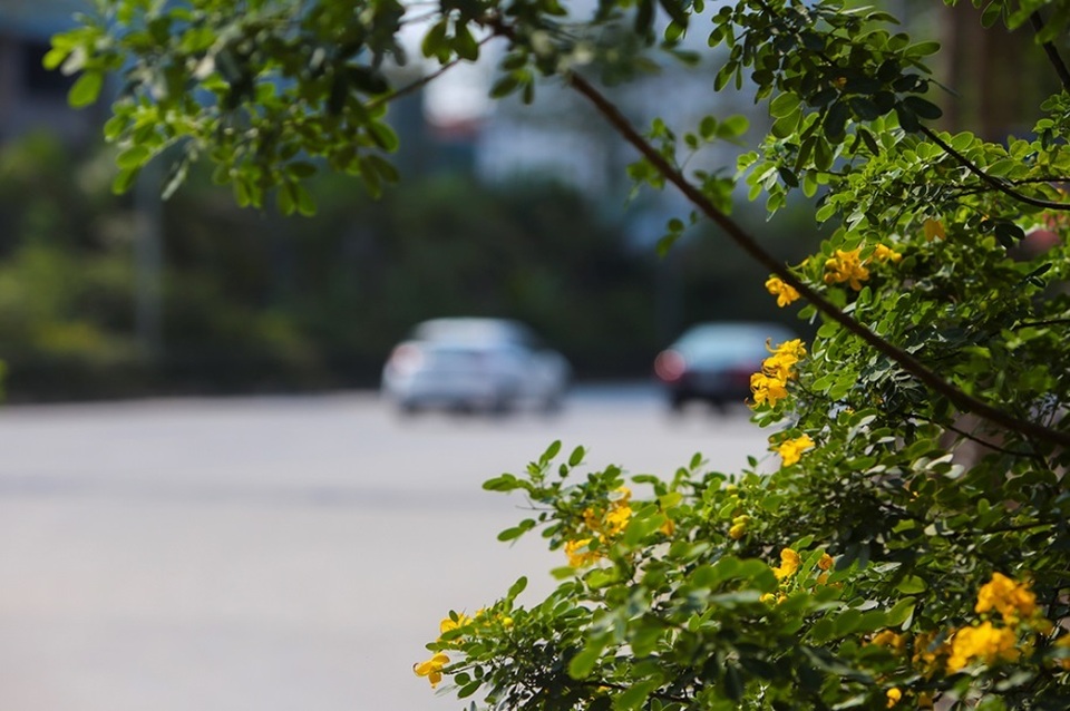 Hối hả chỉnh trang con đường nối từ sân bay Nội Bài về nội đô - 10 Hối hả chỉnh trang con đường nối từ sân bay Nội Bài về nội đô - 10